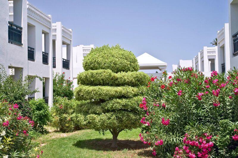 Hotel Club El Borj Mahdia Extérieur photo